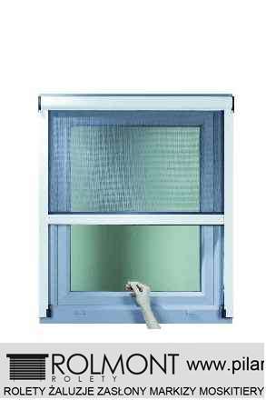 Piła zasłony rzymskie