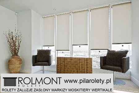 Piła brama garażowa rolowana