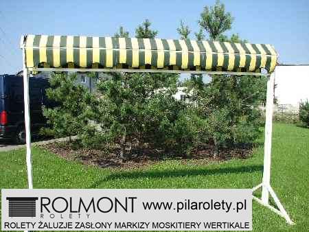 markizy Chodziez cena