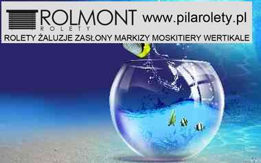 plisy Zlotow tanio