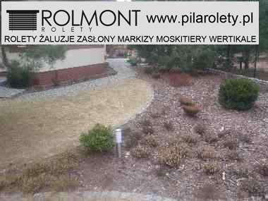 żaluzje z drewna Piła