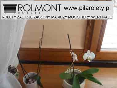 rolety materiałowe w Pile