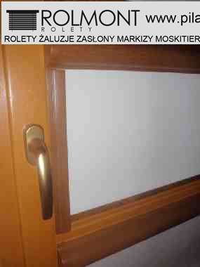 rolety Piła cena